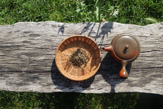 26' Kanazawa Bo Hojicha - Loose Tea